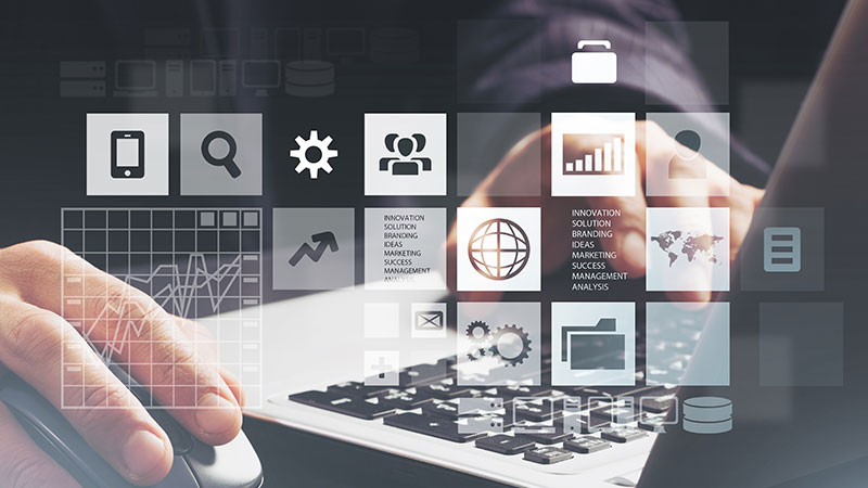 Website Hosting and Maintenance